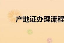 产地证办理流程实操（产地证办理）