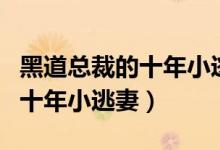 黑道总裁的十年小逃妻免费阅读（黑道总裁的十年小逃妻）