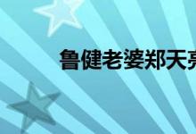 鲁健老婆郑天亮综艺（鲁健老婆）