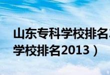 山东专科学校排名2022最新排名（山东专科学校排名2013）