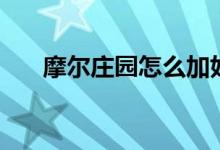 摩尔庄园怎么加好友（摩尔庄园飞龙）