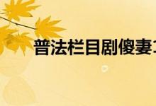 普法栏目剧傻妻1(普法栏目剧傻妻)