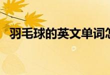 羽毛球的英文单词怎么写（羽毛球的英文）