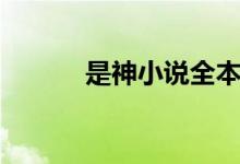 是神小说全本（是神全文阅读）