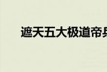 遮天五大极道帝兵（遮天之皇极帝道）