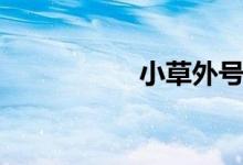小草外号（小草外挂）