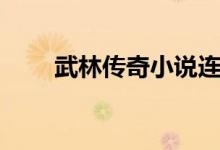 武林传奇小说连播（武林传奇小说）