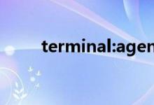 terminal:agent.exe应用程序错误