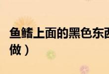 鱼鳍上面的黑色东西是什么（黑鳍的赃物怎么做）