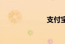 支付宝安全控制