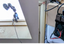 Raspberry Pi 项目检测并识别鸟叫声
