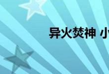异火焚神 小说（龙焚异世）