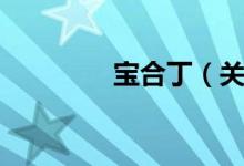 宝合丁（关于宝合丁介绍）
