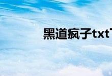 黑道疯子txt下载（黑道疯子）