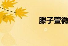 滕子萱微博（滕子萱）