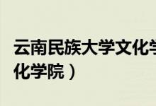 云南民族大学文化学院宿舍（云南民族大学文化学院）