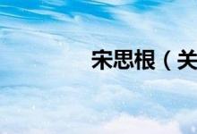宋思根（关于宋思根介绍）