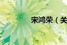 宋鸿荣（关于宋鸿荣介绍）