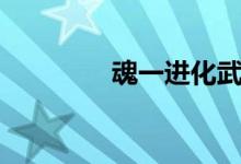 魂一进化武器（武器入魂）