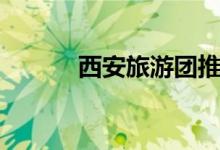 西安旅游团推荐（西安旅游团）