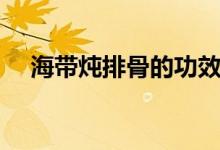 海带炖排骨的功效与作用（海带炖排骨）