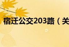 宿迁公交203路（关于宿迁公交203路介绍）