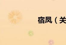 宿凤（关于宿凤介绍）