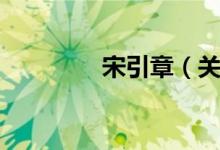 宋引章（关于宋引章介绍）