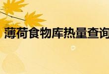 薄荷食物库热量查询app（薄荷网热量查询）