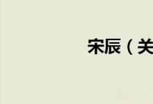 宋辰（关于宋辰介绍）