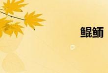鲲鲕(kuner)