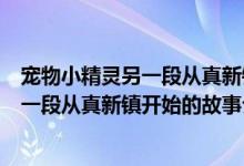 宠物小精灵另一段从真新镇开始的故事（关于宠物小精灵另一段从真新镇开始的故事介绍）