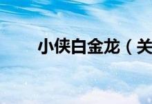 小侠白金龙（关于小侠白金龙介绍）