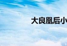 大良凰后小说（大良凰后）