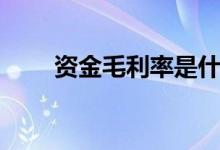 资金毛利率是什么（毛利率是什么）