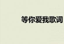 等你爱我歌词（等你爱我5566）