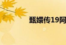 甄嬛传19阿哥（甄嬛传19）
