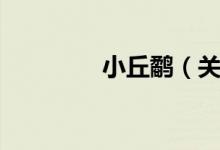 小丘鹬（关于小丘鹬介绍）