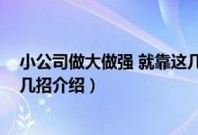小公司做大做强 就靠这几招（关于小公司做大做强 就靠这几招介绍）