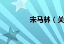 宋马林（关于宋马林介绍）