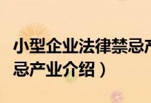 小型企业法律禁忌产业（关于小型企业法律禁忌产业介绍）