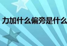 力加什么偏旁是什么字（力加偏旁是什么字）