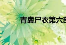 青囊尸衣第六部（青囊尸衣续集）