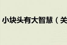 小块头有大智慧（关于小块头有大智慧介绍）