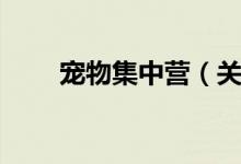 宠物集中营（关于宠物集中营介绍）