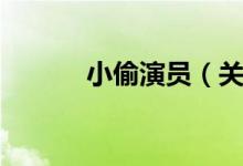 小偷演员（关于小偷演员介绍）