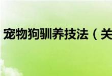 宠物狗驯养技法（关于宠物狗驯养技法介绍）
