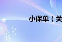 小保单（关于小保单介绍）