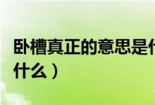 卧槽真正的意思是什么呢（卧槽真正的意思是什么）