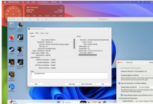 Apple Silicon 的下一个 VMware 版本将提供完整的 3D 硬件加速